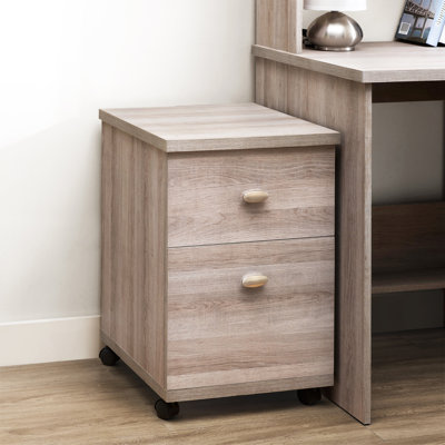 40cm Wide 2 -Drawer Mobile File Cabinet
