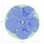 Napperon Hibiscus-465678873