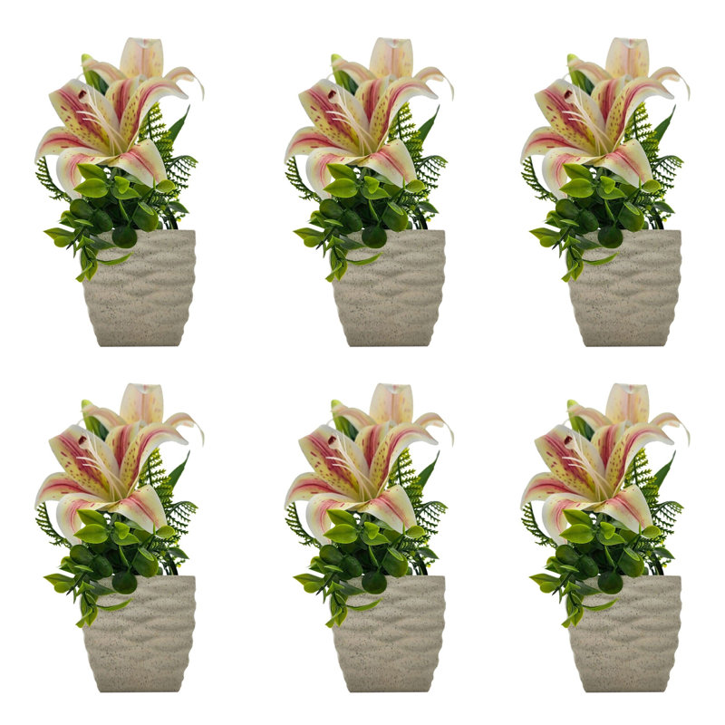 Neelish Lily Arrangement in Vase, Light Pink