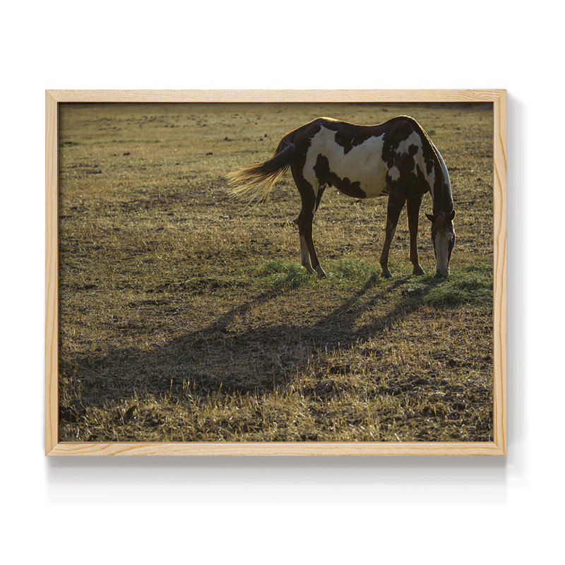 Long Shadow - Imprimé encadré - Restickable, H 8 po x l 10 po, Naturel