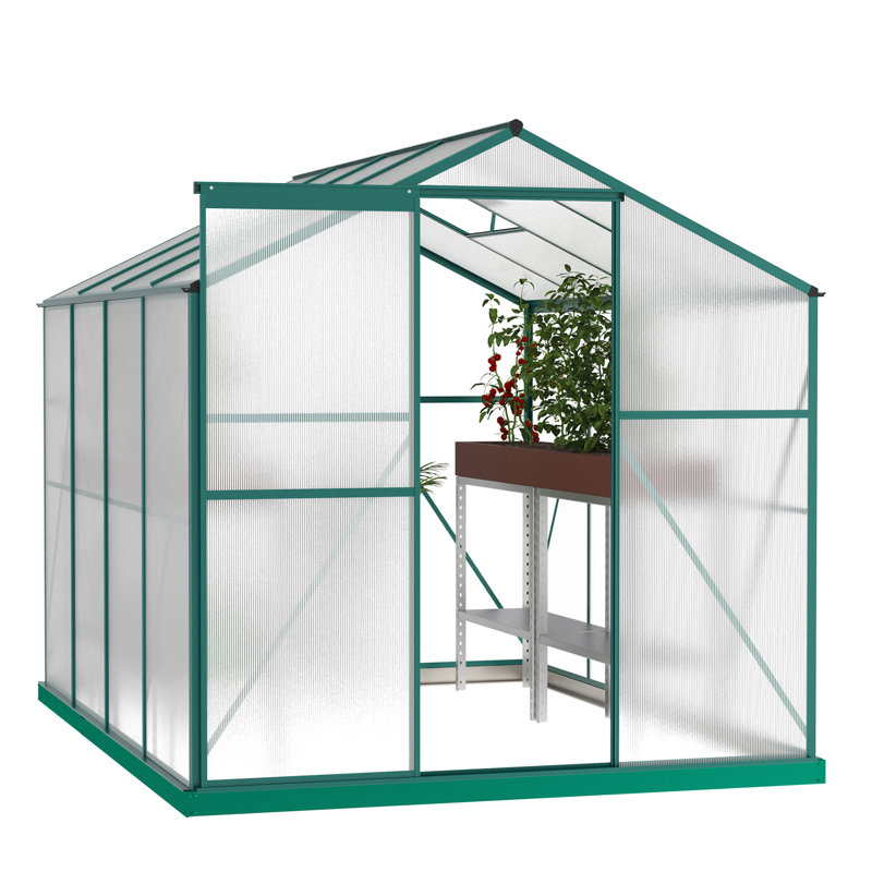Serre en polycarbonate, serre de jardin robuste 6 pi x 8 pi pour jardin / extérieur