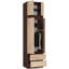 Stevana Particle Board 2 - Door Rectangle Accent Cabinet