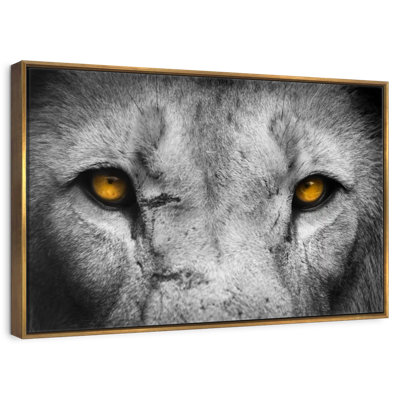 Lion Eyes Pop