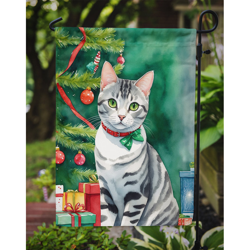 Drapeau de jardin Pixie Bob, American Shorthair
