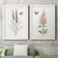 «Wildflower Botanical I», ensemble de 2 reproductions d'art-923653538-808463890-923653541