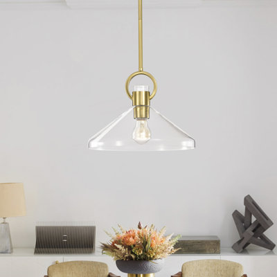 Andros Glass Cone Shade 1-Light Downrod Pendant Light