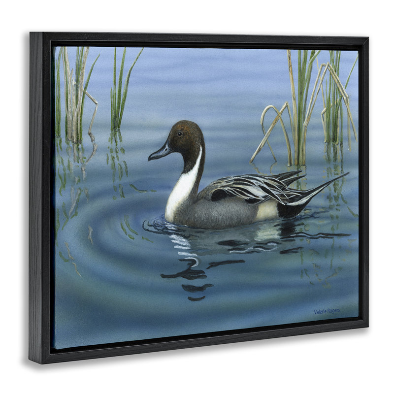  «Pintail Loon in Pond Floater», art mural sur toile par Valerie Rogers, Cadre flottant noir de jais, H 17 po x l 21 po
