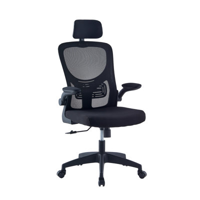 Jitender Mesk Task Office Chair