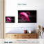 Magnifique flamant rose Brampt-107690018