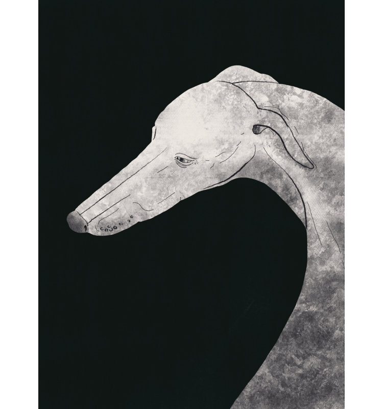 Wrapped Canvas Print, 76.2 cm H x 50.8 cm W
