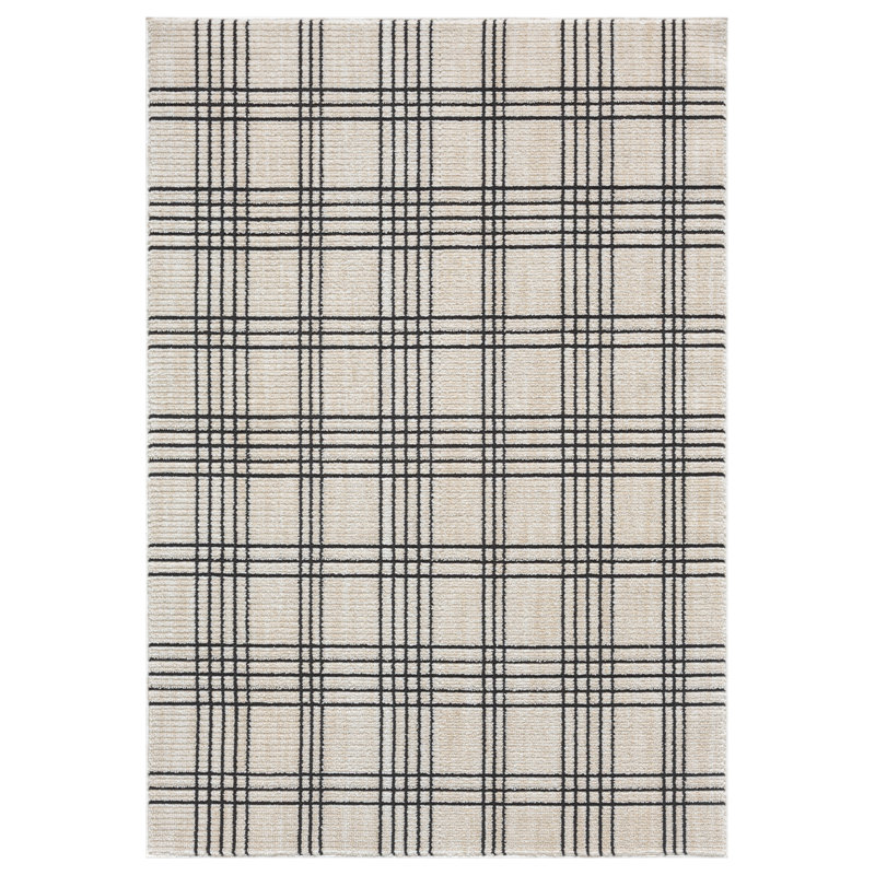 Clowers Collection White/Charcoal Plaid Patterned Area Rug, 2' x 3', Rectangle 2'1" x 3'2"