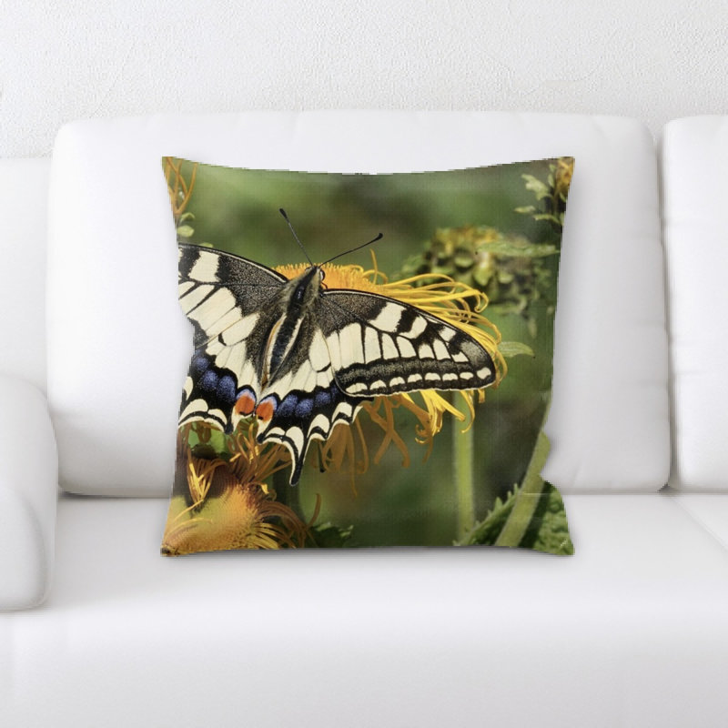 Coussin queue d’aronde