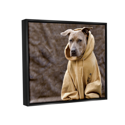 " Beautiful Dog Wearing Cozy Yellow Hoodie Photography " by Michael Brian