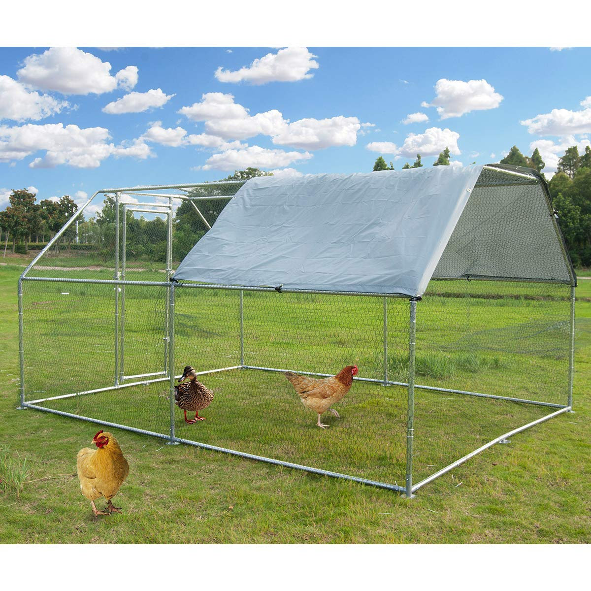 Tucker Murphy Pet™ Corriana 128.38 Square Feet Walk In Chicken Run