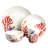 Azareya Piece Bone China Dinnerware Set - Service for 6
