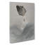Jumping Fish by Watanabe Seitei - Wrapped Canvas-55362302