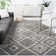 Develin Performance Geometric Rug