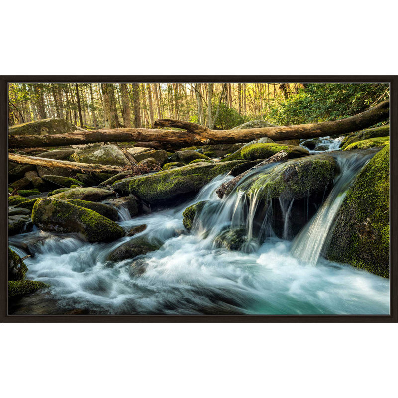 «Tremont at Sunrise», reproduction de photo, H 31,5 po x l 51,5 po x P 2 po, Cadre flottant espresso