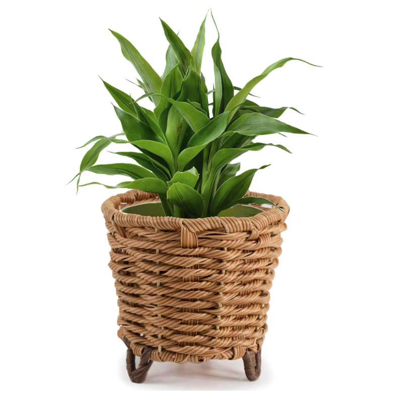 Mingenew Pot Planter