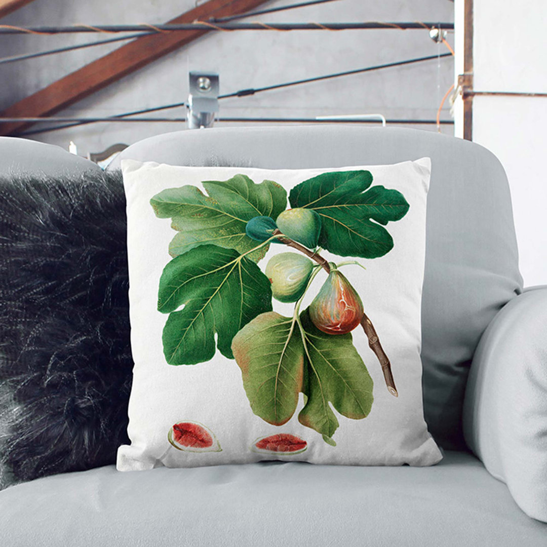 Common Figs by Giorgio Gallesio Cushion with Filling