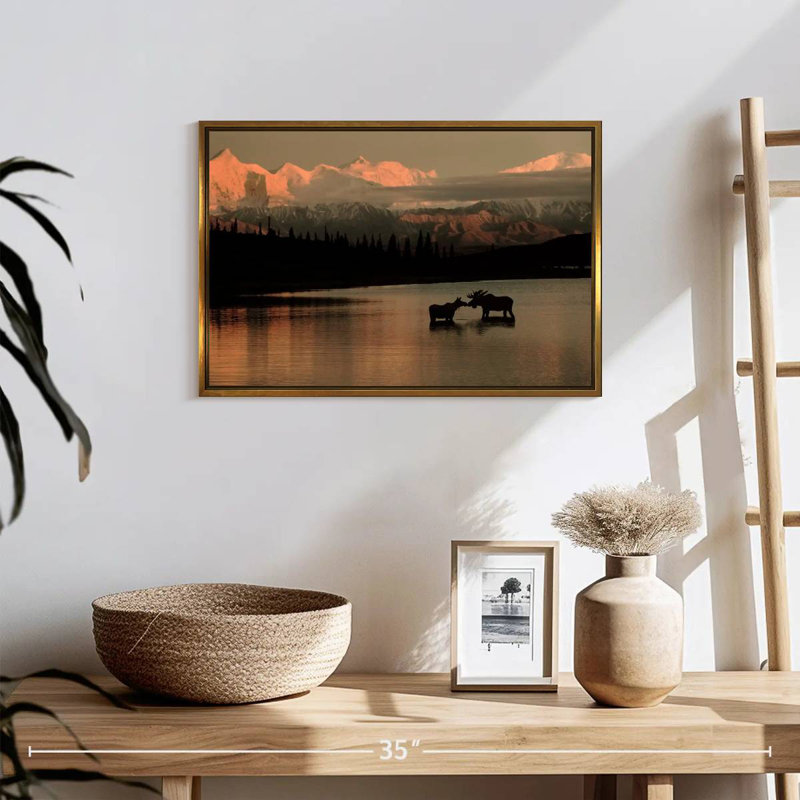 Courting Moose In Wonder Lake, 25" X 17", Floating Frame Gold