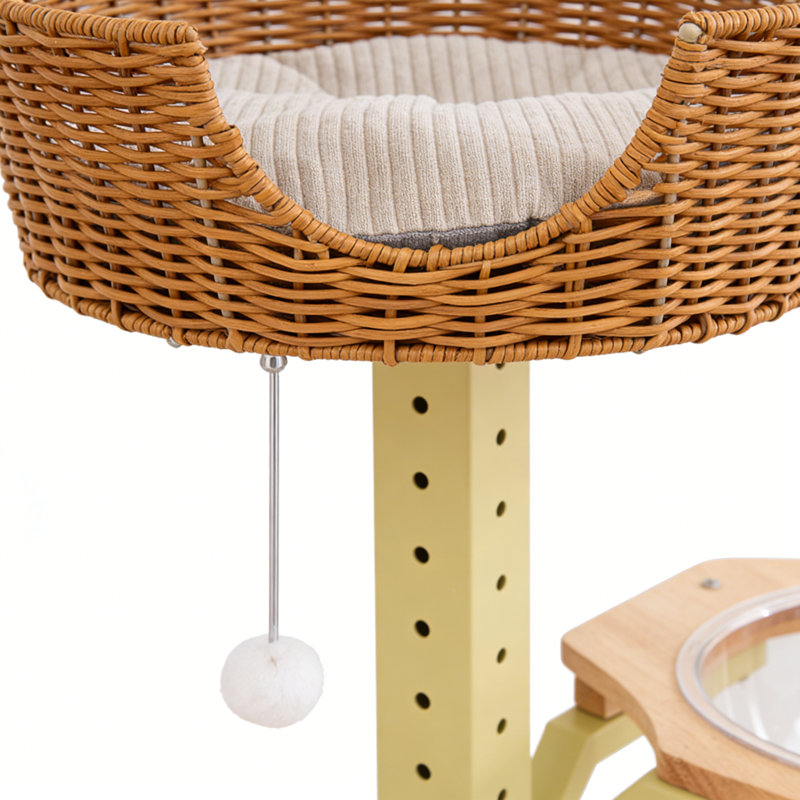 Structure d'escalade simple et tendance