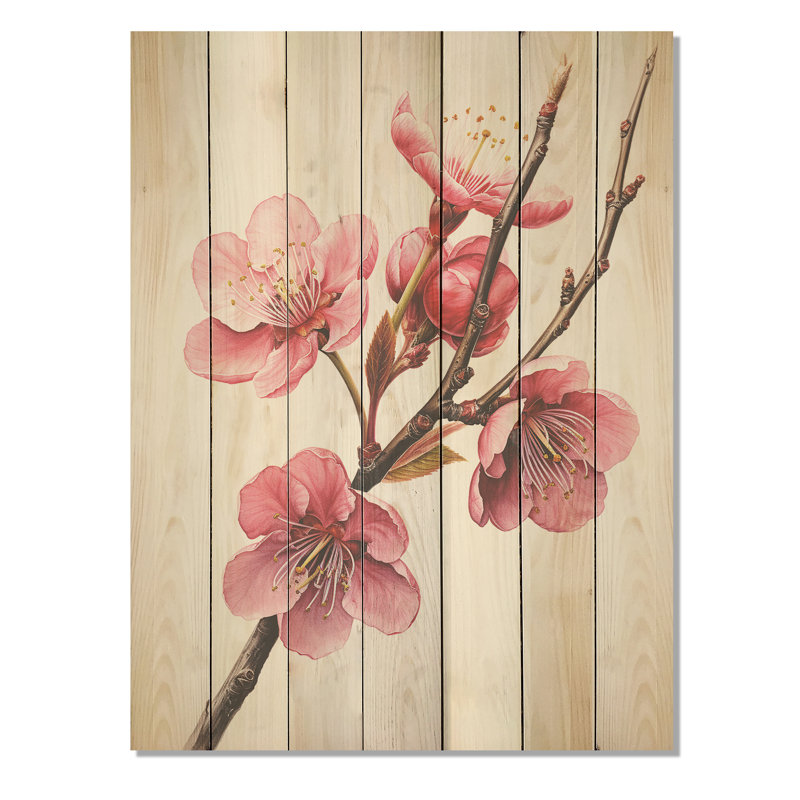 Cerises roses au printemps - Cerisier sur bois, H 40 po x l 30 po