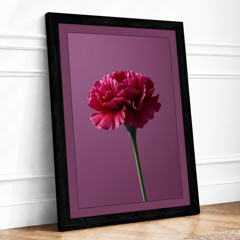 Magenta Carnation Study Botanical - Framed Print, A1 - 84.1 x 59.4 cm, Black