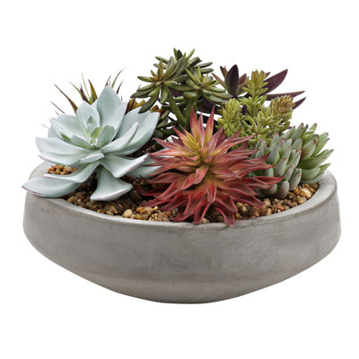 10'' Faux Echeveria Plant in Cement Planter
