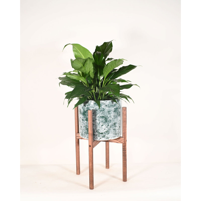 Hinshaw Handmade Ceramic Pot Planter, Light Walnut