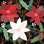 Mod Holiday V par Veronique Charron - impression