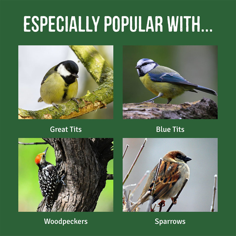 Hahn Tube Bird Feeder