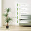 120cm Plant