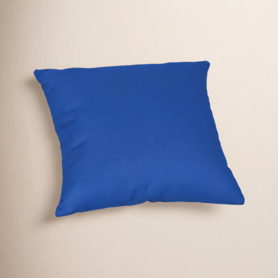Sunbrella® Throw Pillow