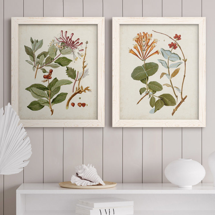 Vintage Flowering Trees IIIPremium Framed Canvas - Ready To Hang