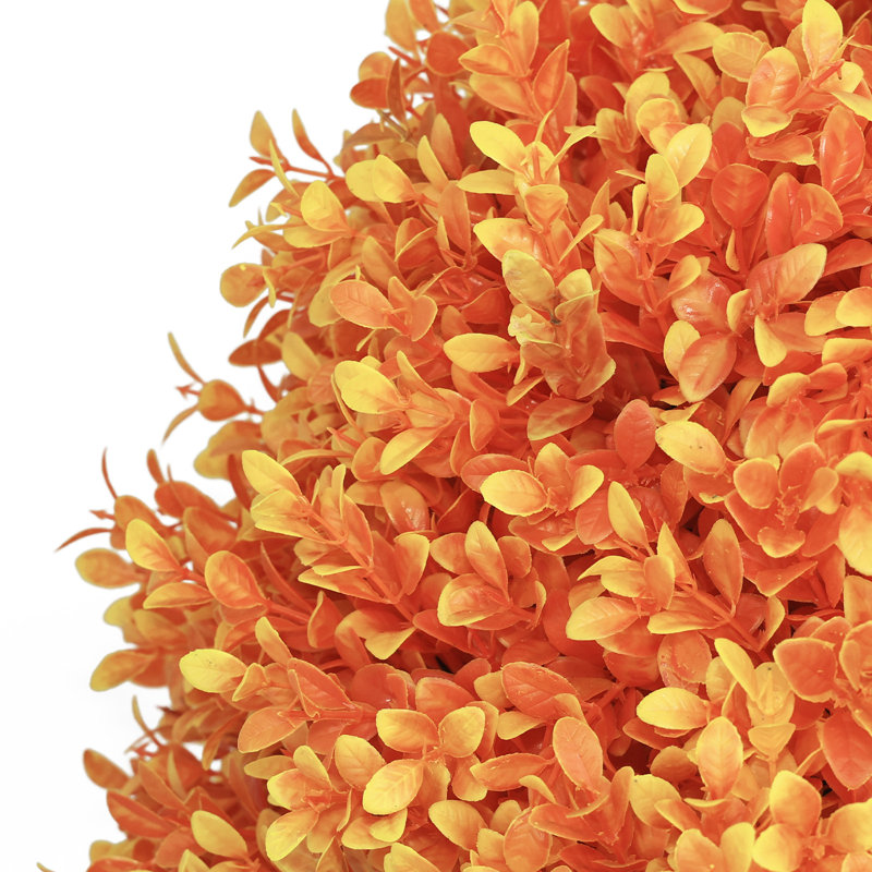Arbre en pot 24 po, Orange