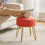 Ahilan Metal Accent Stool-2033349370