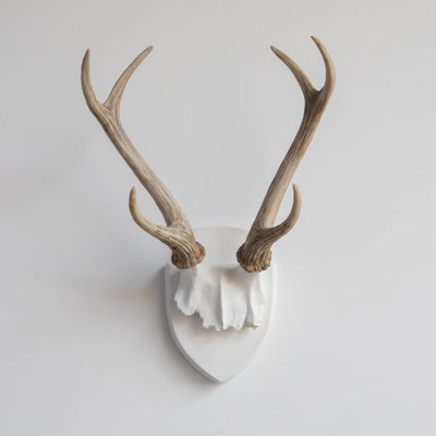 Décoration murale faux bois de cerf naturalisés