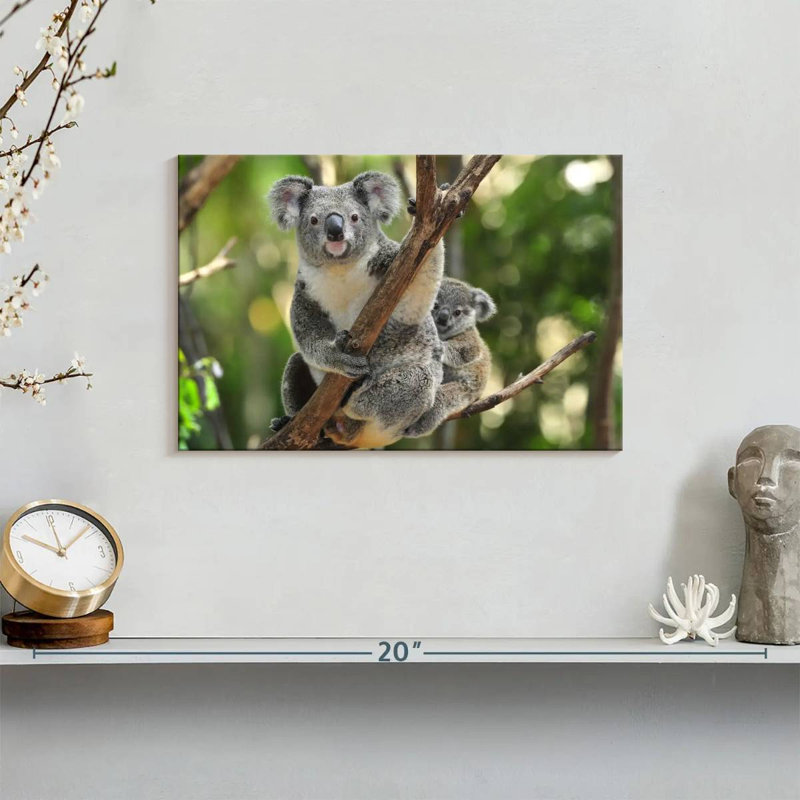 Australian Koala Bears, 8" H x 12" W
