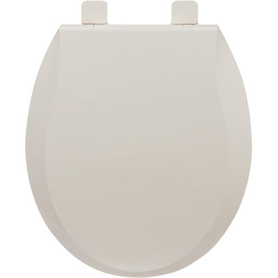 2-in-1 Dual Seat 17 Inch Blue PP Toilet Seat Round Soft Close Quick Install