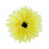 Bright Yellow