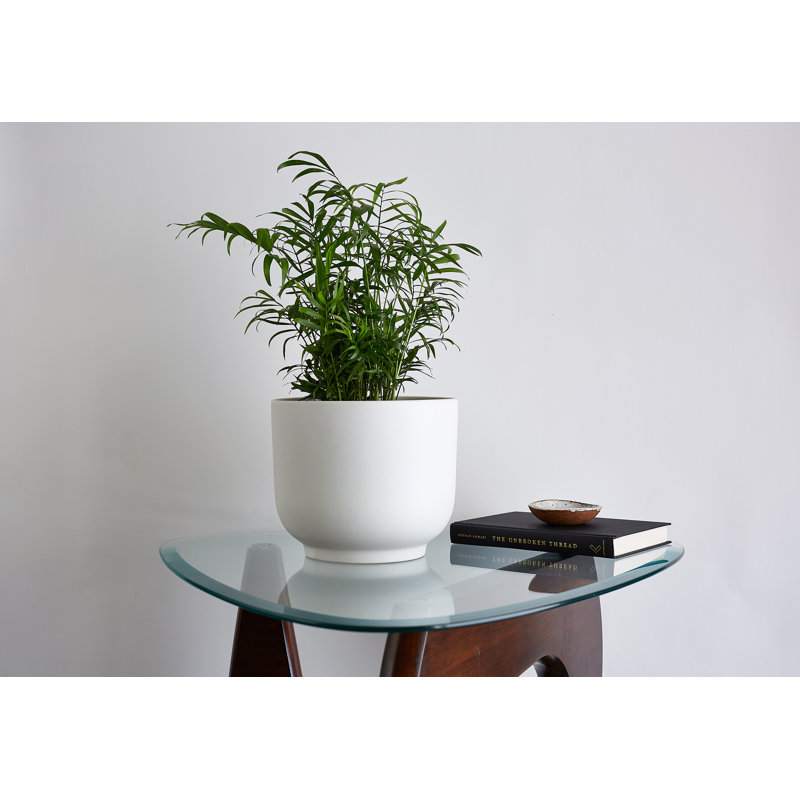 Handmade Ceramic Pot Planter, White, 7.75" H x 9" W x 9" D
