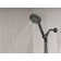 Neo Exhilaration 1.75 GPM Multi Function Handheld Shower Head