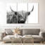 BW Highland Cow Wall Art, reproduction d'art sur toile-642309421