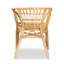 Brayonna 16.9'' H Armchair