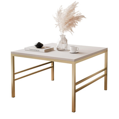 Coffee Table with Storage