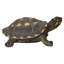 Figurine turtle tacheté