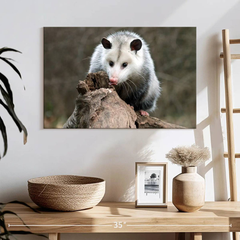 Bramble opossum, H 16 po x l 24 po