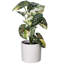 11.5'' Faux Plant in Pot-94734881
