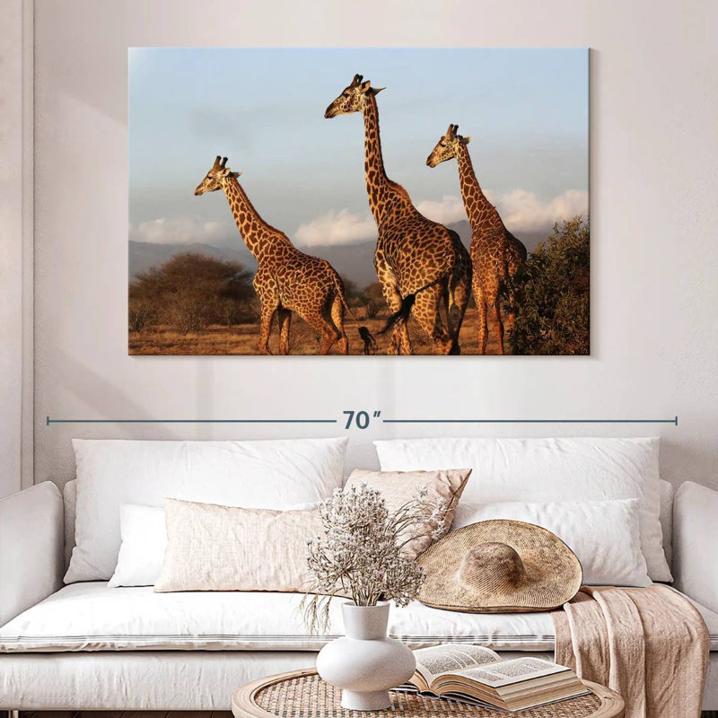 Brampt Three Brown Giraffes, 34" H x 51" W